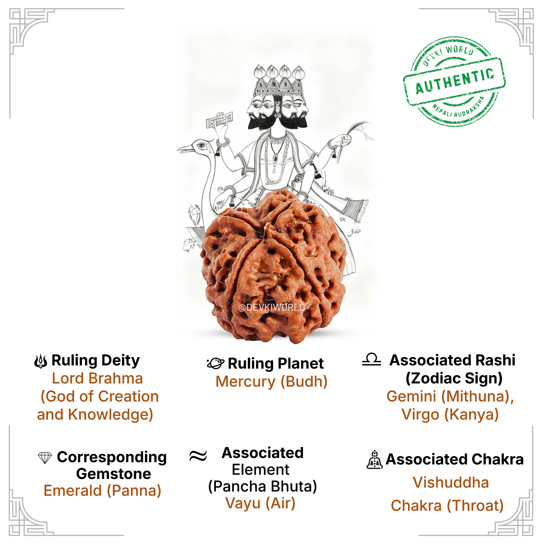4 Mukhi Rudraksha
