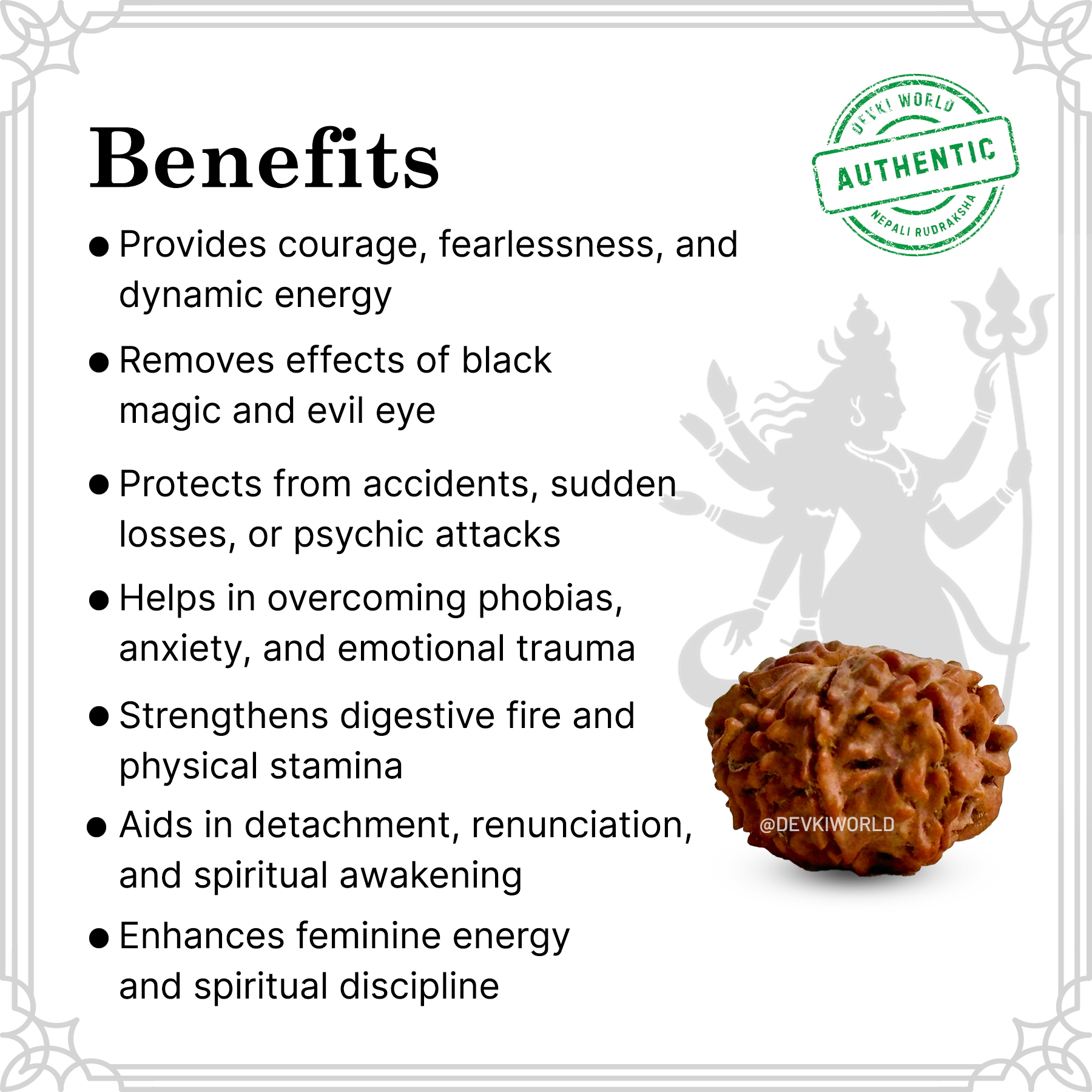9 Mukhi Rudraksha