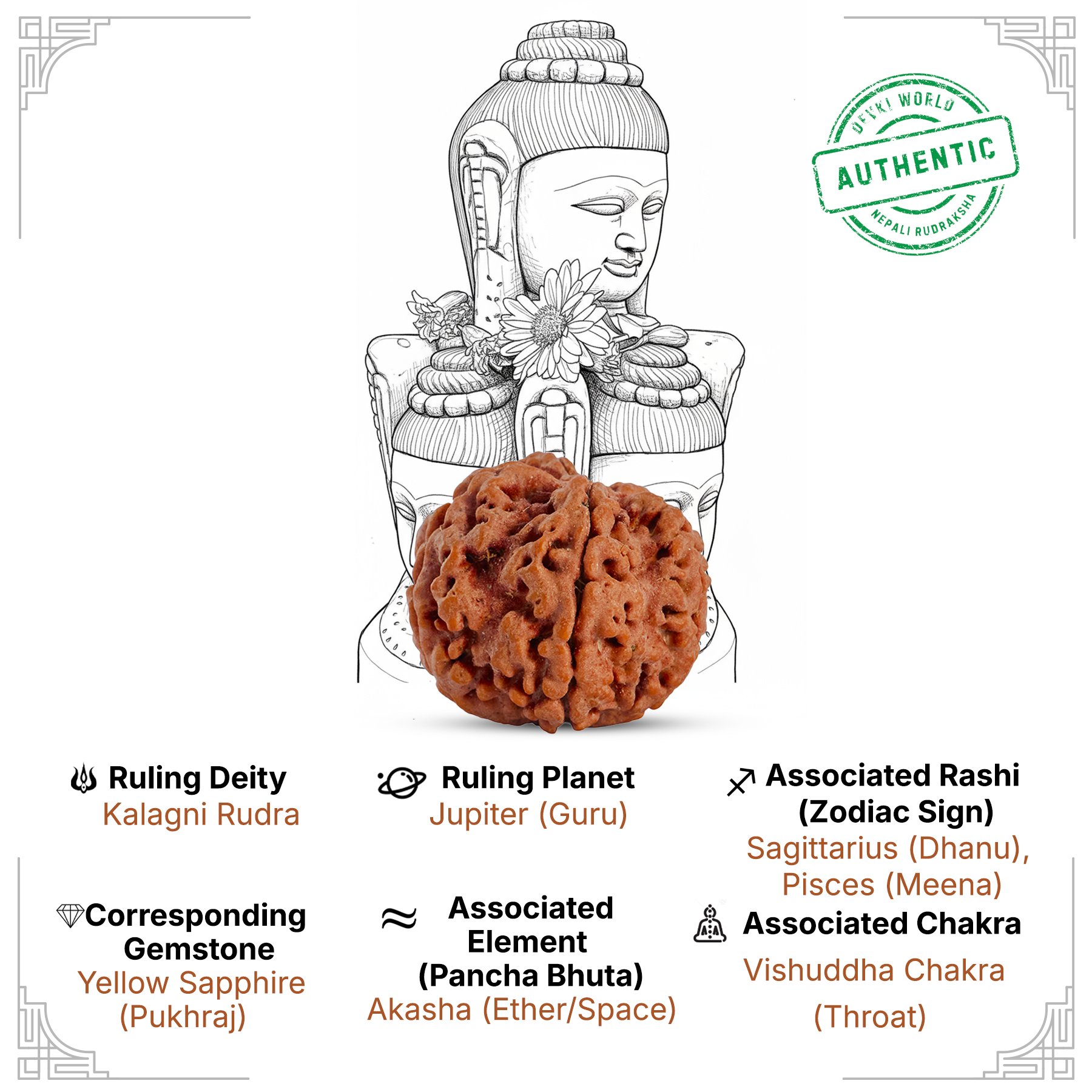 5 Mukhi Rudraksha
