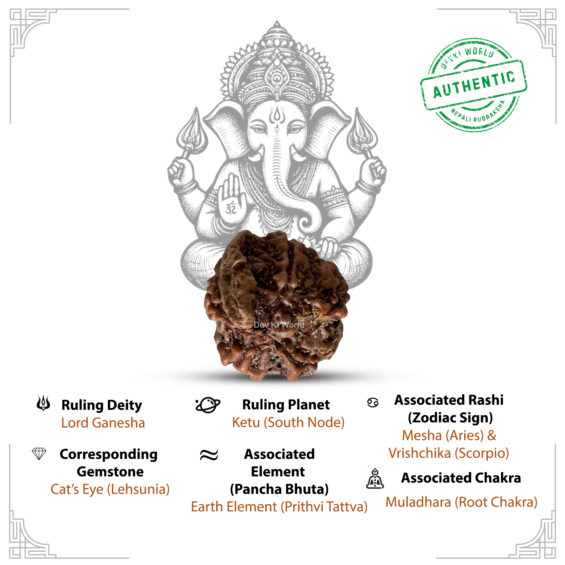 Ganesh Rudraksha