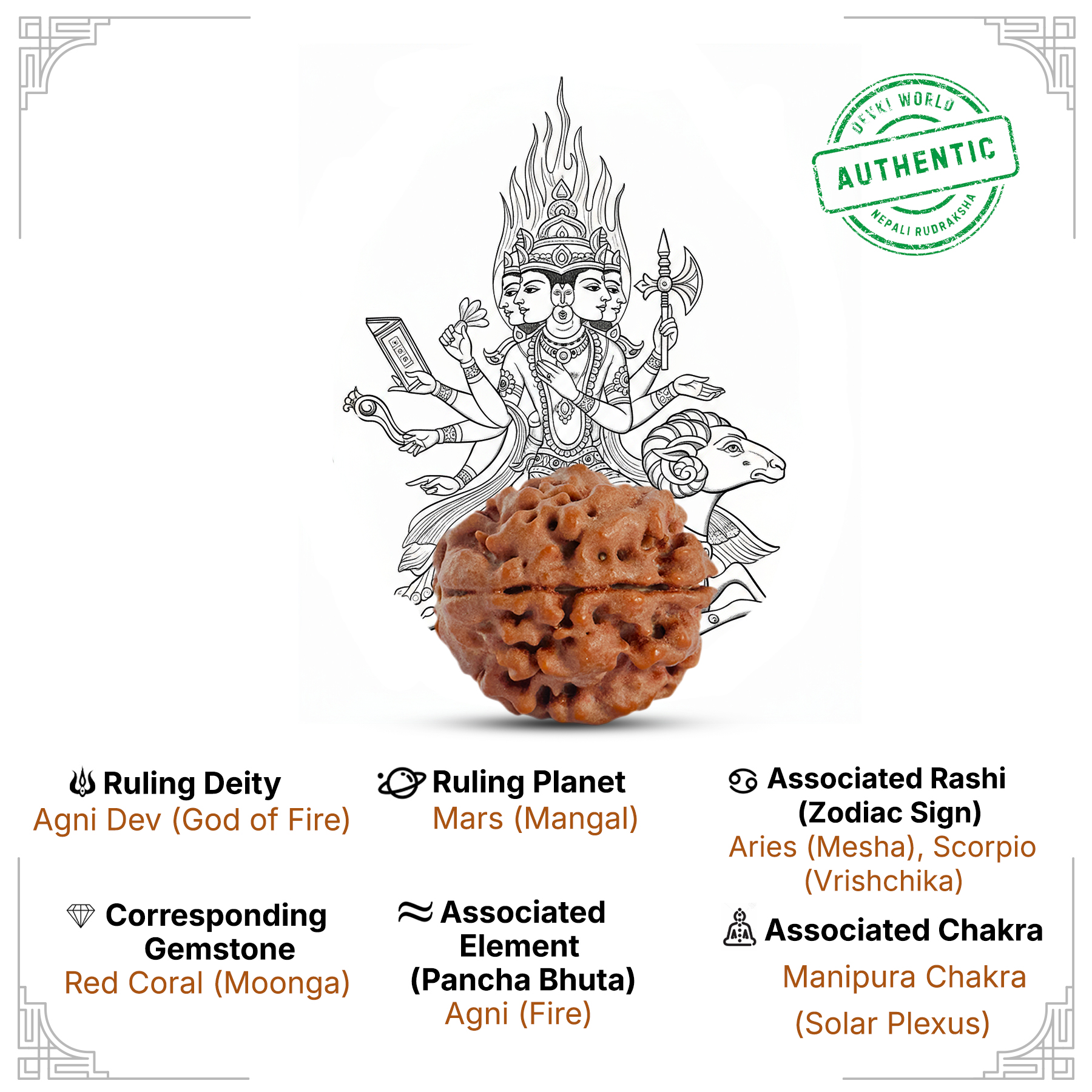 3 Mukhi Rudraksha