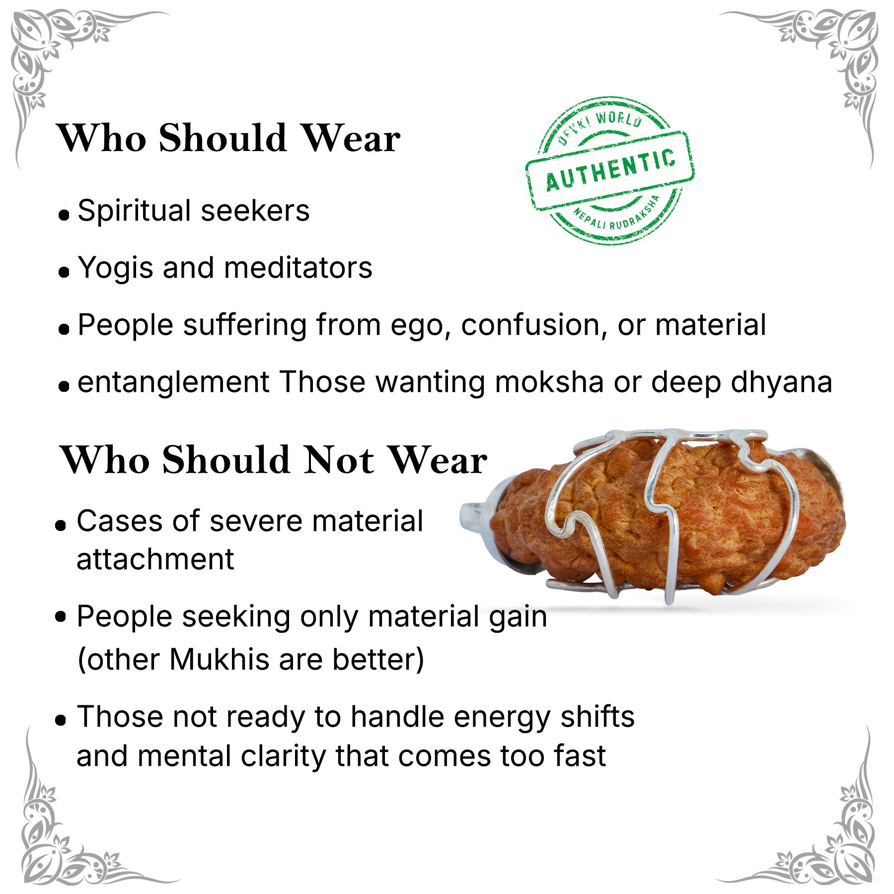 1 Mukhi Rudraksha Indian