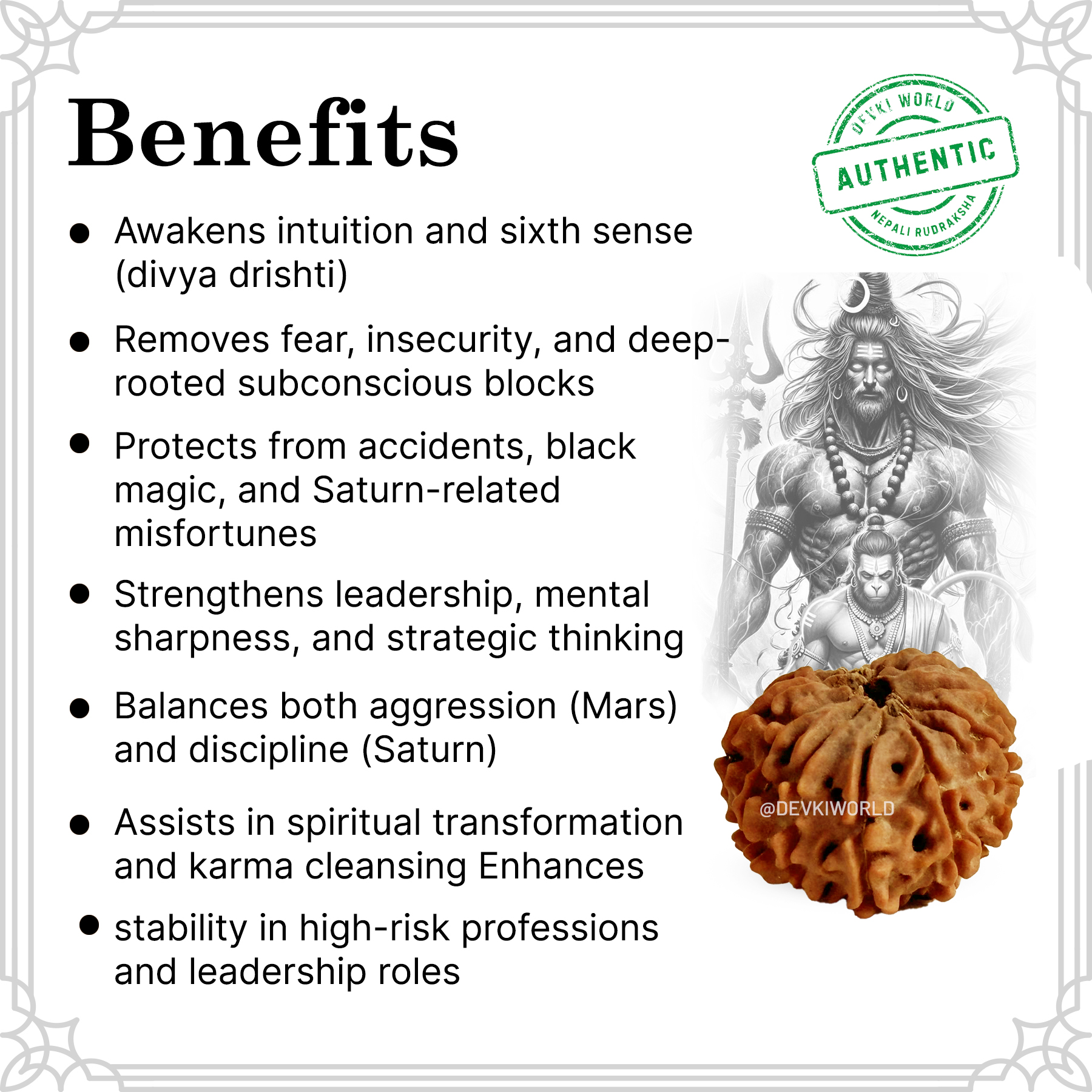 14 Mukhi Rudraksha