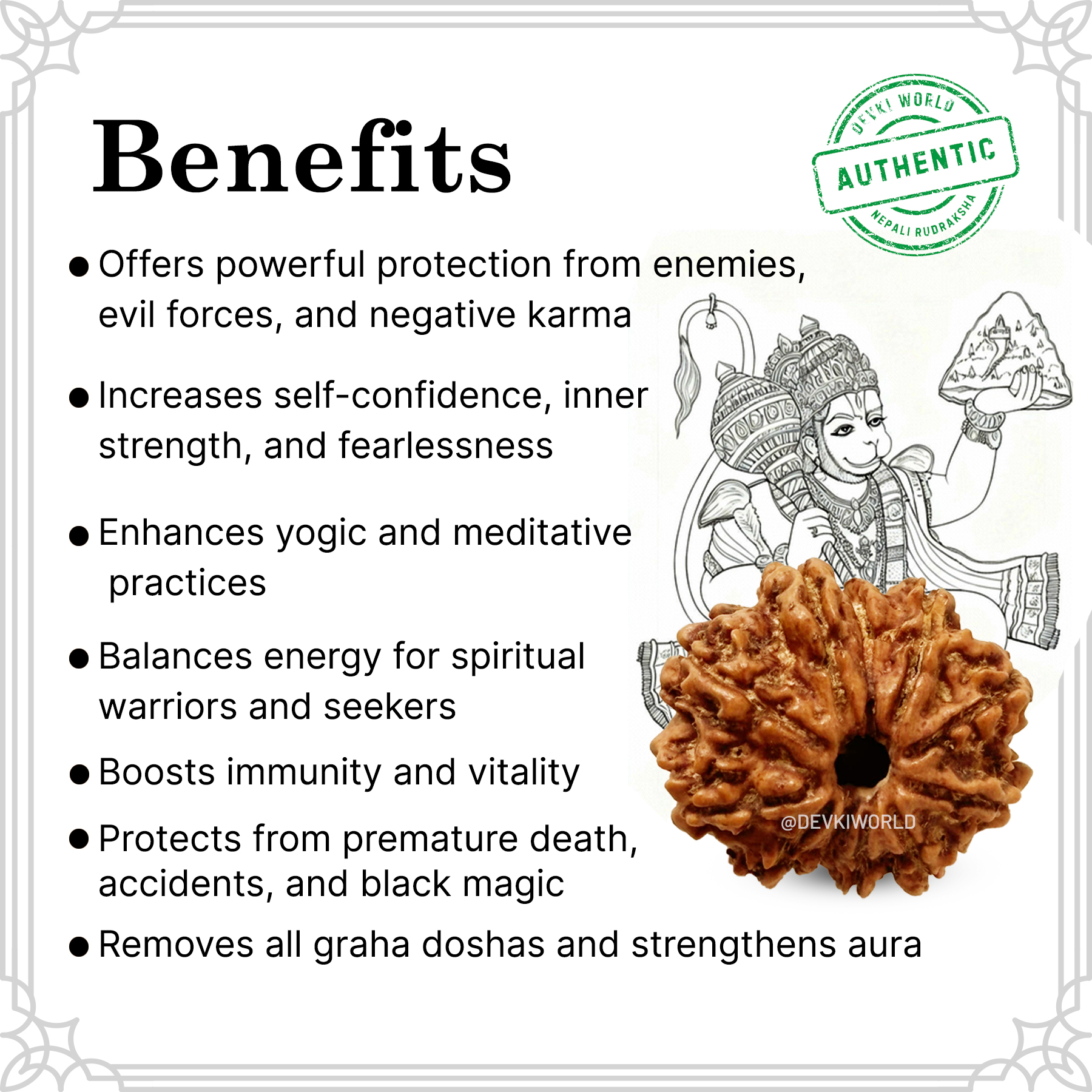 11 Mukhi Rudraksha
