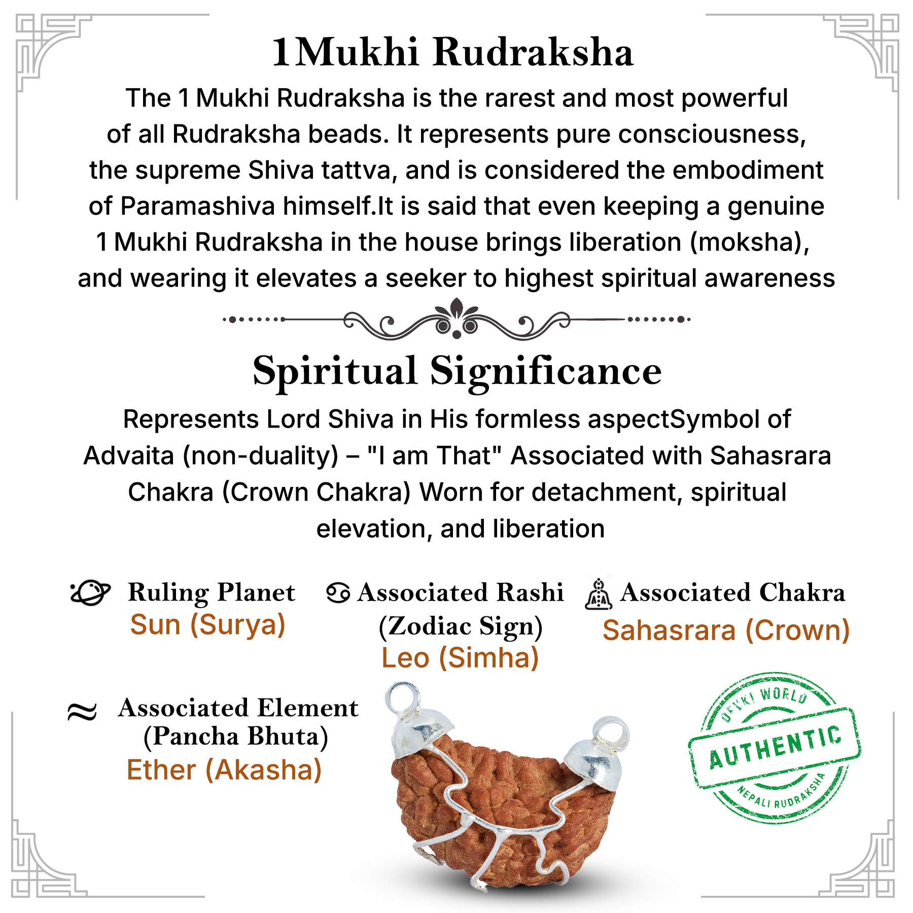1 Mukhi Rudraksha Indian