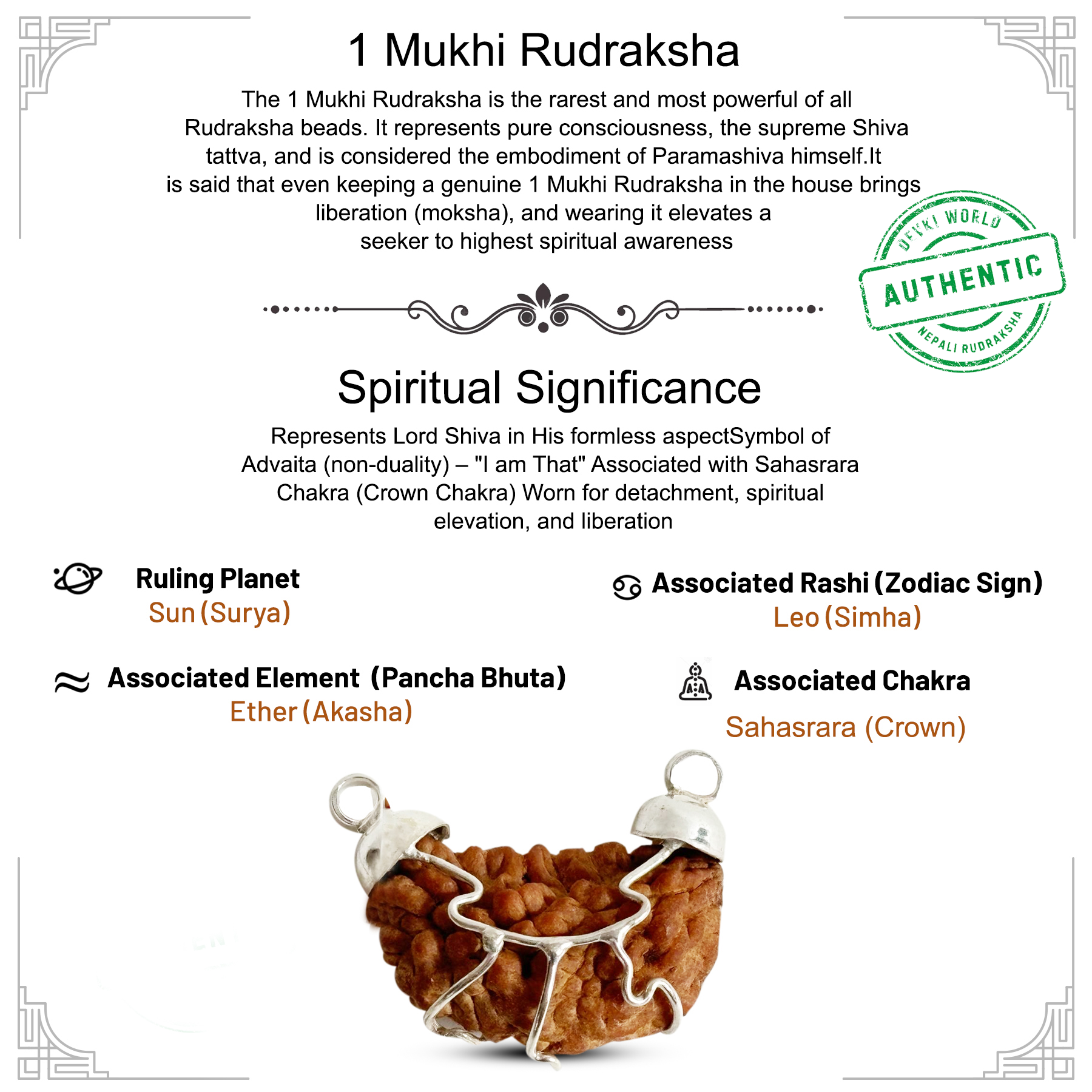 1 Mukhi Rudraksha Indian